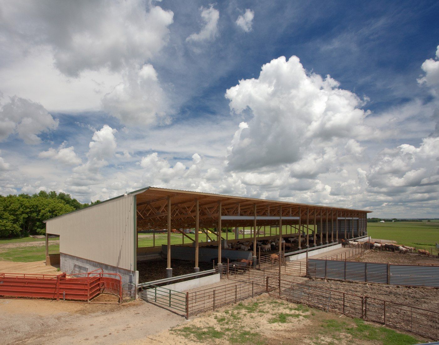 Beef Barns How to Build a Monoslope Facility Summit Livestock