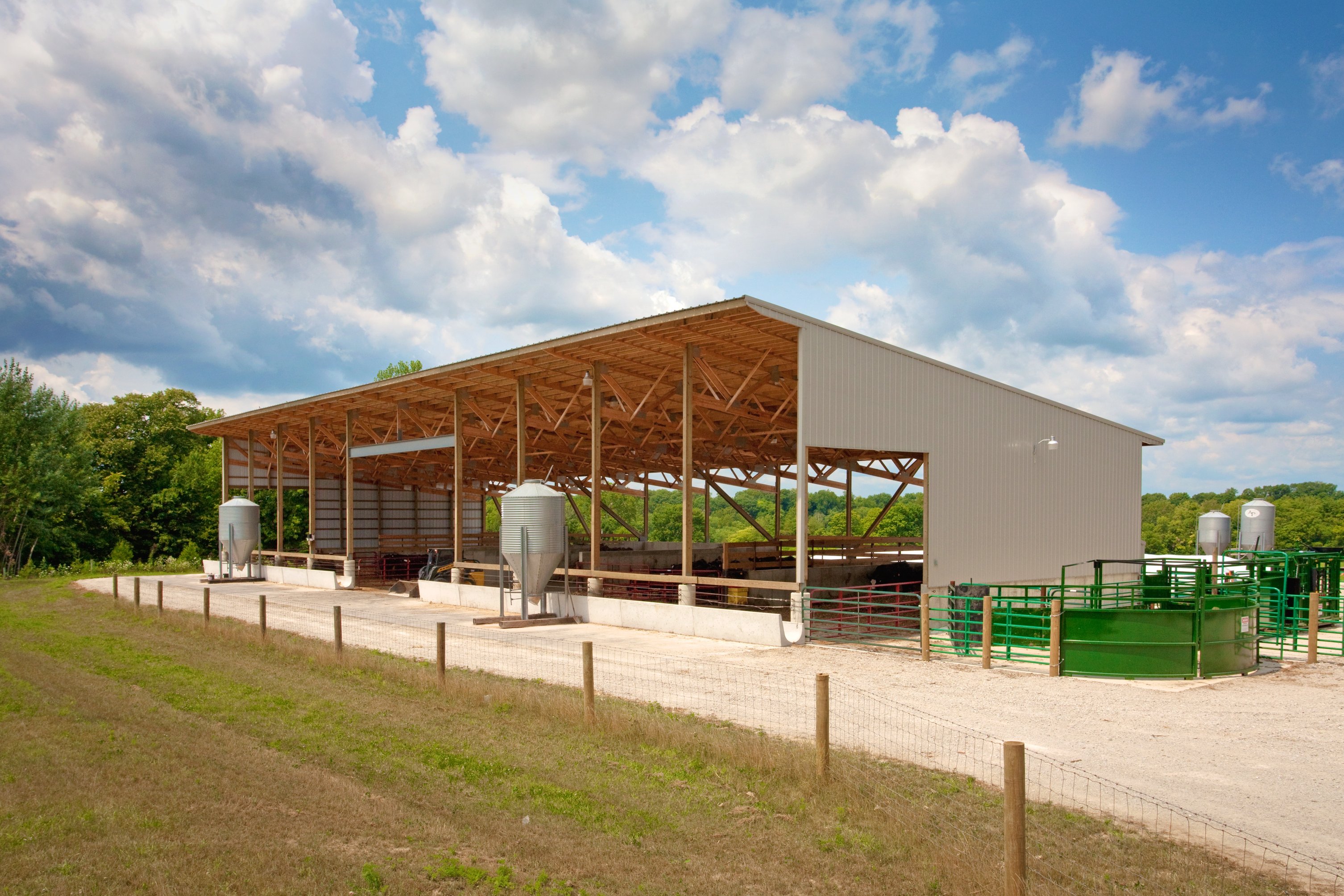 Beef Barns How to Build a Monoslope Facility Summit Livestock