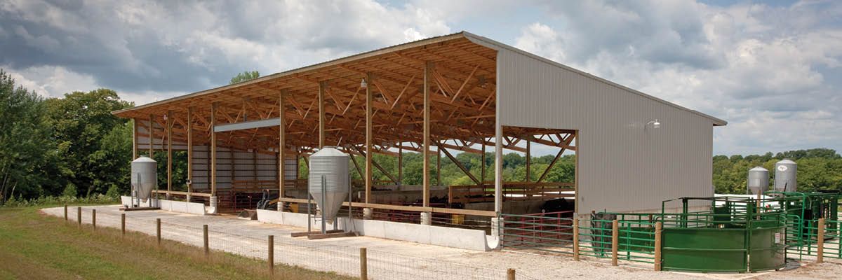 New Permitting Information for Indiana Beef Feedlot Operators